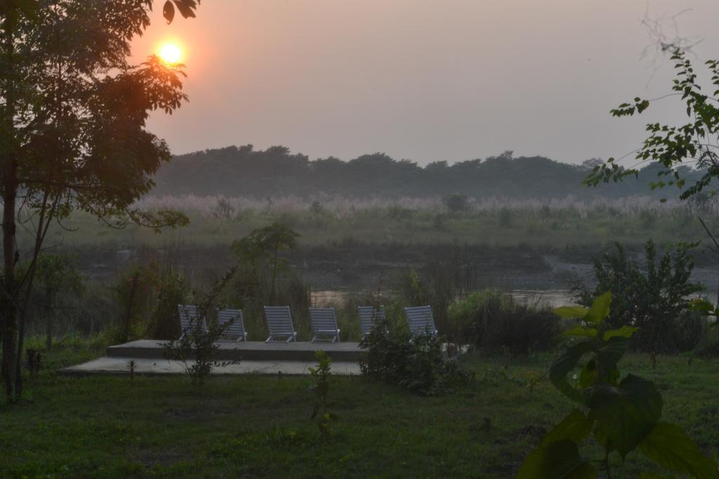 River View Jungle Camp Sauraha Eksteriør billede