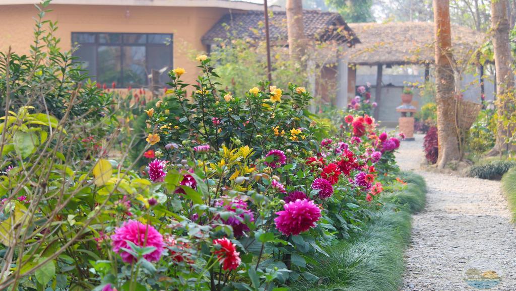 River View Jungle Camp Sauraha Eksteriør billede