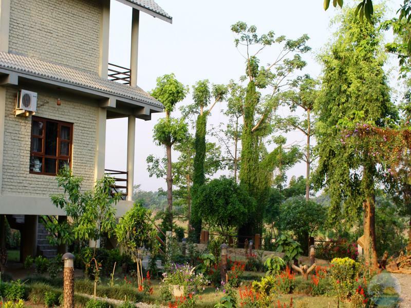 River View Jungle Camp Sauraha Eksteriør billede