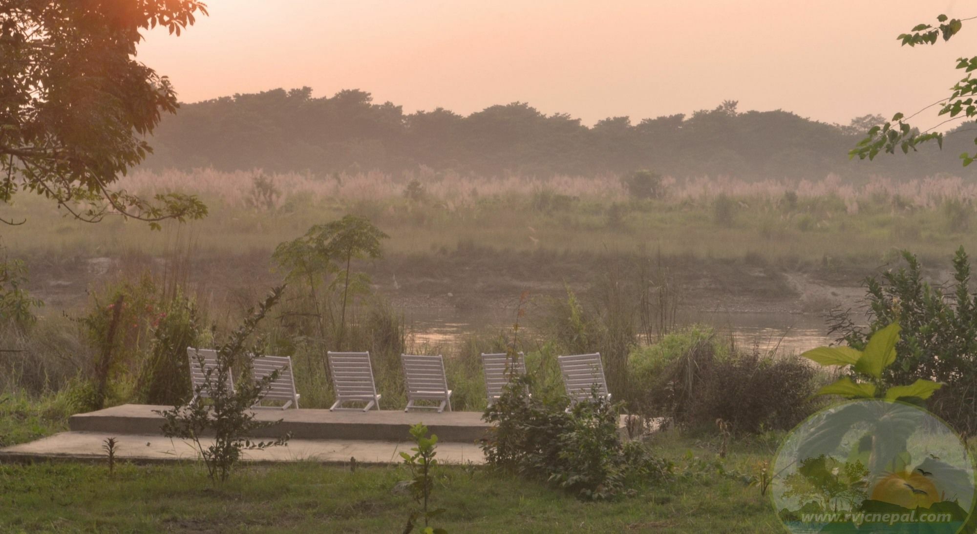 River View Jungle Camp Sauraha Eksteriør billede