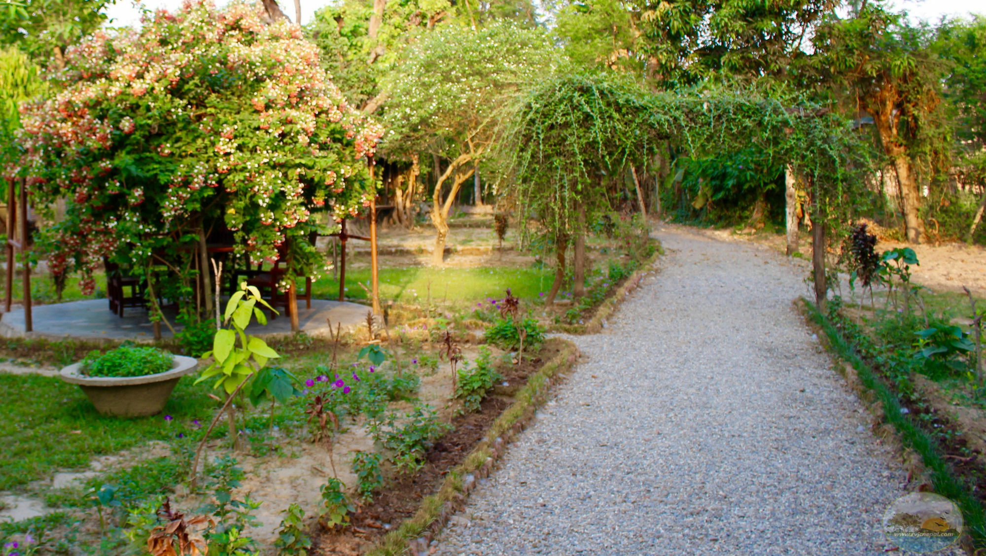 River View Jungle Camp Sauraha Eksteriør billede